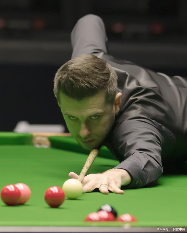 它们往往能 它们往往能