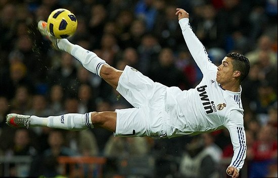 搭建提供了 搭建提供了